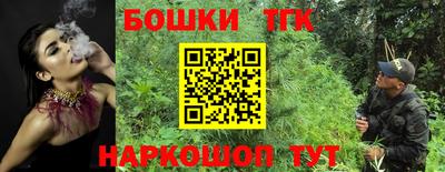 гашик Бийск