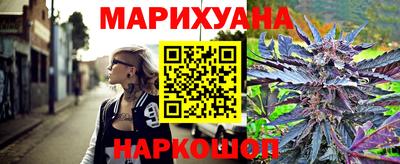 гашик Бийск