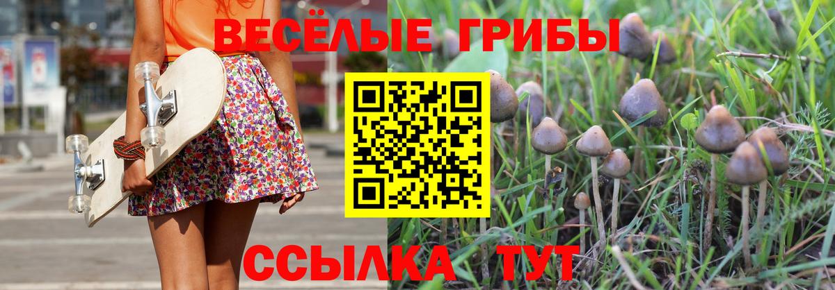 Псилоцибиновые грибы MAGIC MUSHROOMS Избербаш